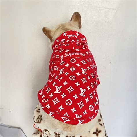 lv dog hoodie